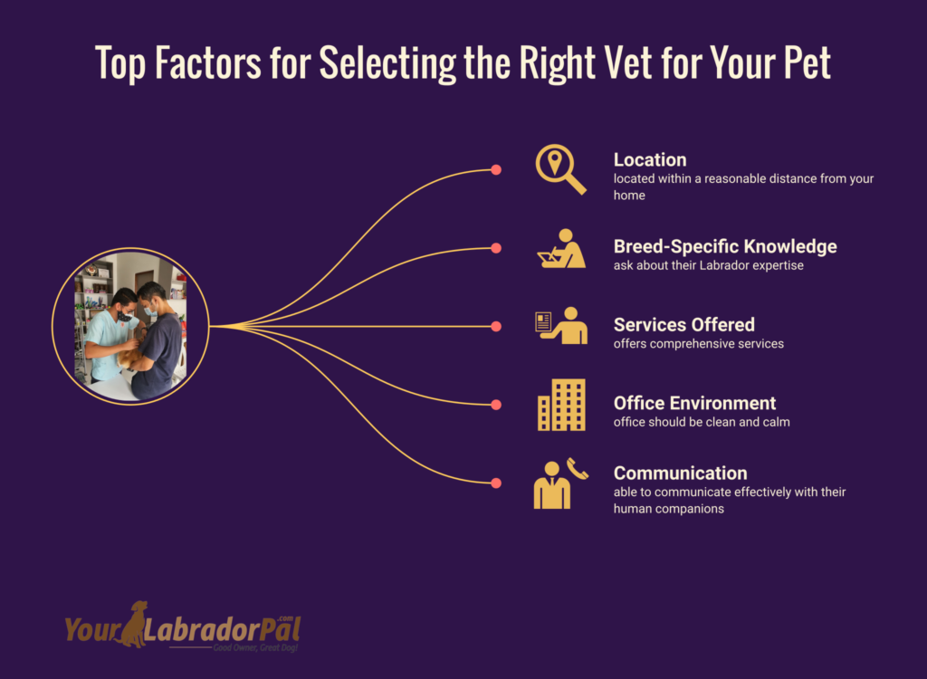 how to choose a vet for a labrador retriever